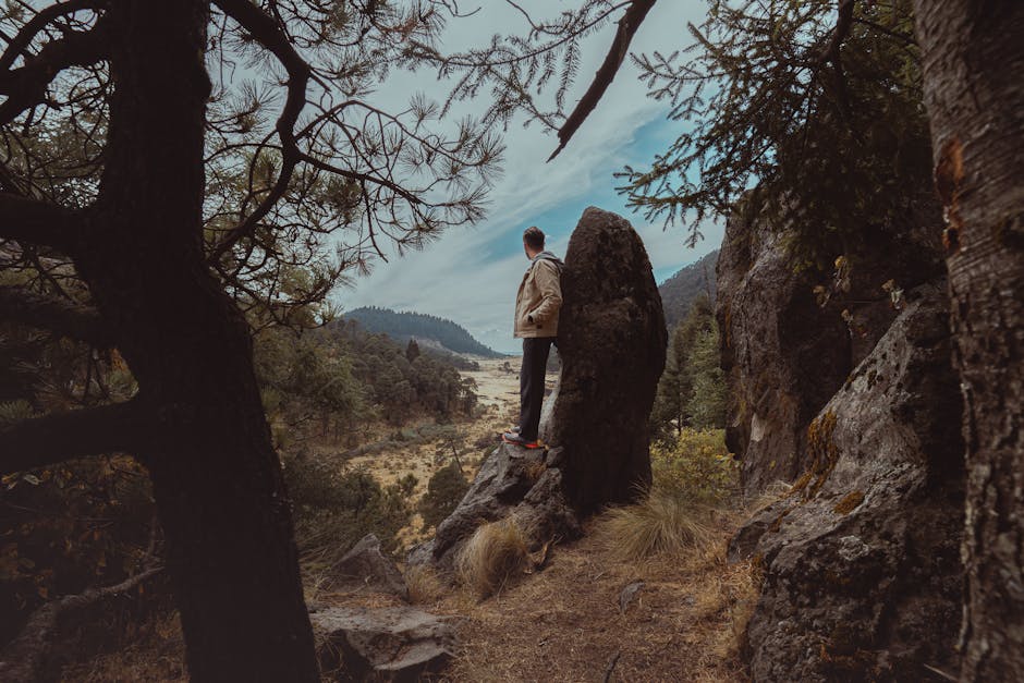 A man stands on a rock amidst trees, gazing at a scenic mountain valley.