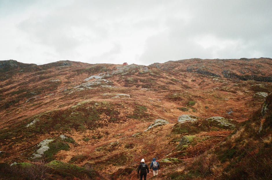 Two hikers traverse the vibrant autumn landscape of Norway's rugged hills