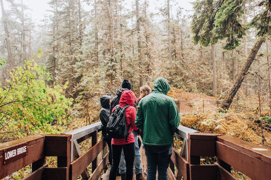Group of friends hiking on a bridge in a misty autumn forest