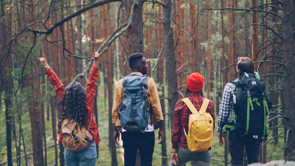 Young diverse friends hiking and exploring a lush green forest