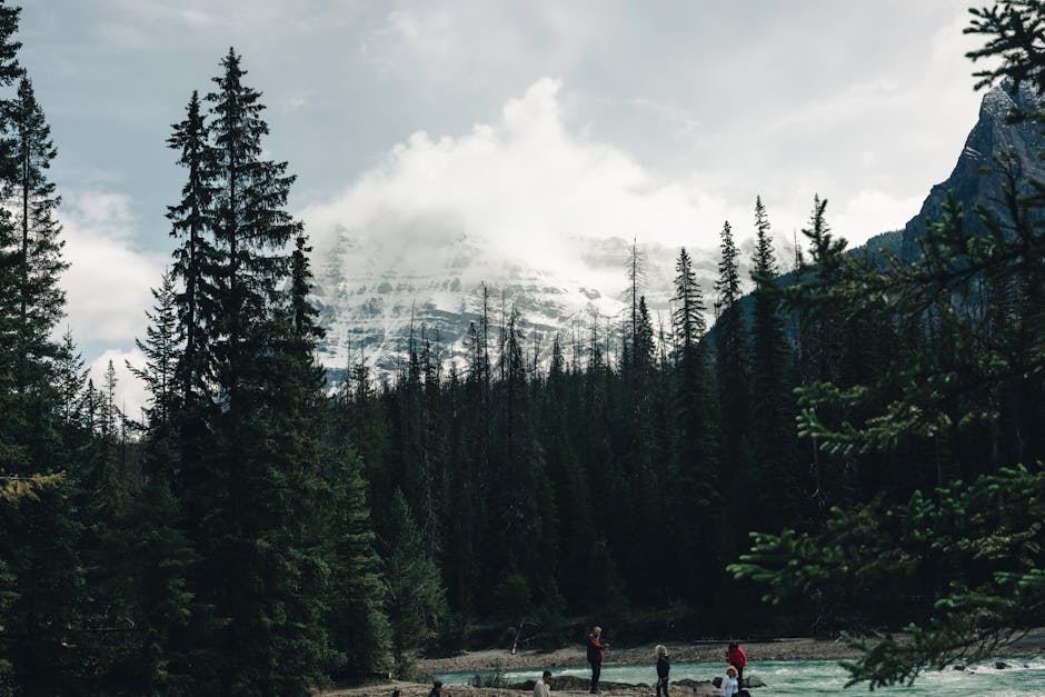 Explore the majestic landscapes with mountains and forests embracing natural beauty.