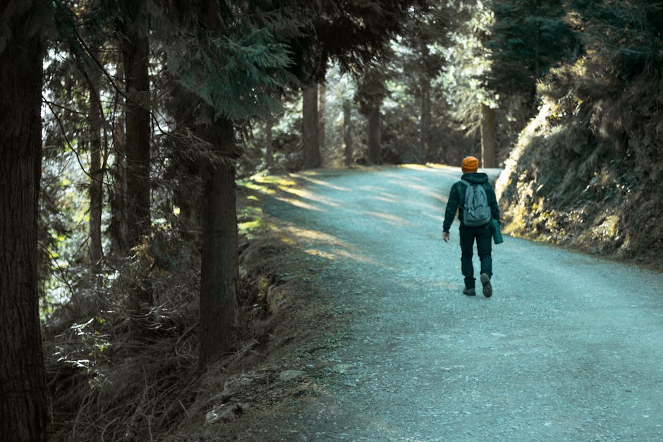 Man walking down a dirt road surrounded by forest trees